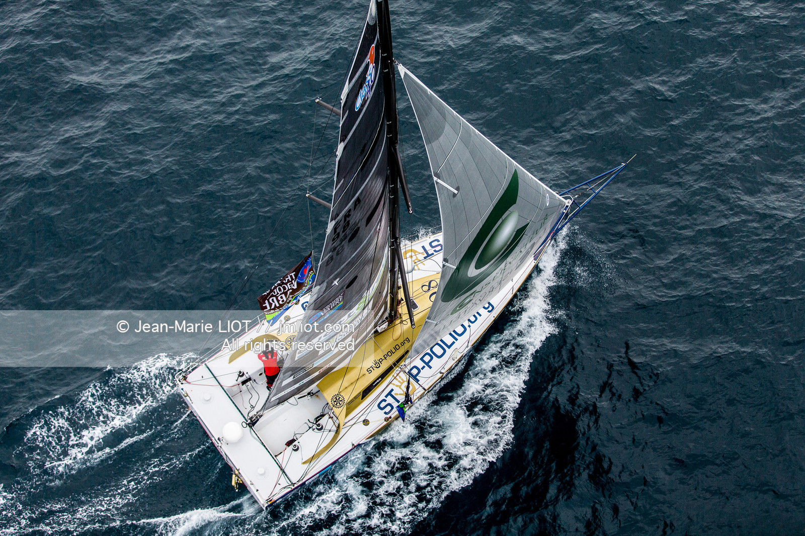 131024WANDS_3JML9554