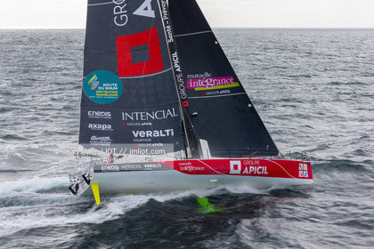 DAMIEN SEGUIN  2018 - GROUPE APICIL