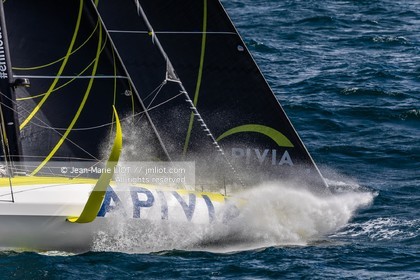 CHARLIE DALIN 2020 - APIVIA