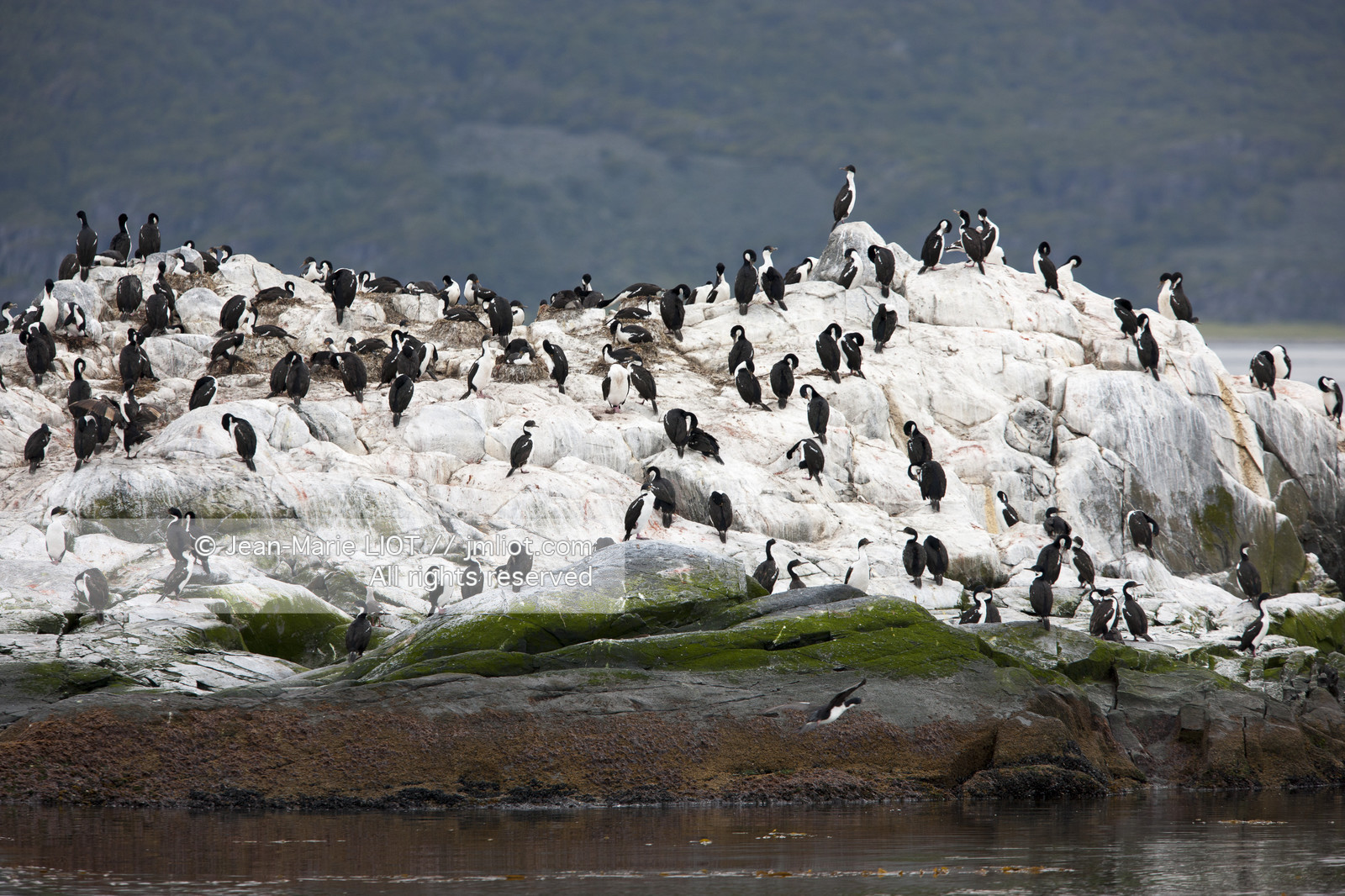 Ushuaia, Terre de Feu est la ville la plus australe du globe.Située à la pointe de l'Argentine cette province est la porte de l'antartique.photo © Jean-Marie Liot.