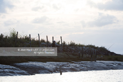 VOILES ET VOILIERS 2016 - LES FORTS DE CHARENTE, BAIE DE LA ROCHELLE EN BIHAN 650