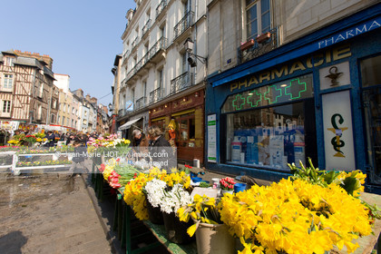 France, Bretagne, ile et vilaine monuments et visite de la ville de rennes. Photo © Jean-Marie Liot.