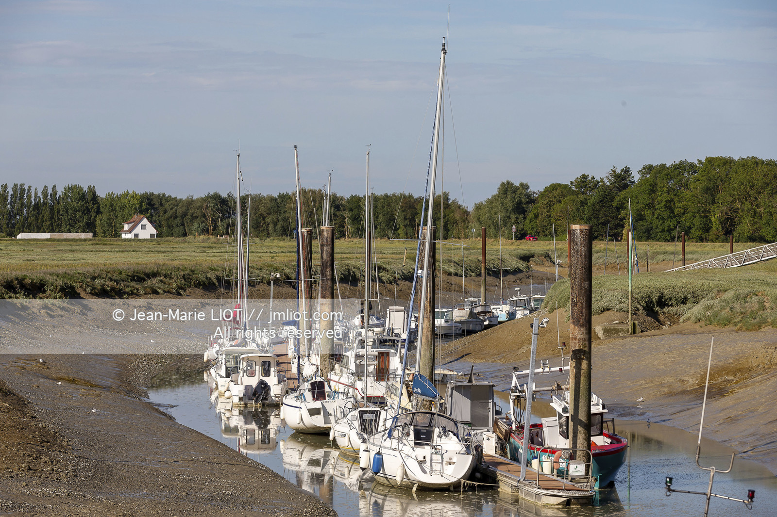 BAIE DE SOMME - 2020