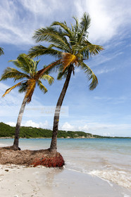 La Guadeloupe est un departement français d'Outre Mer situe dans l'archipel des Antilles. L'ile est bordee d'une part par la Mer des Caraïbes et l'Ocean Atlantique..La guadeloupe est composé de deux îles: la Grande-Terre et la Basse-Terre..Photo © Jean-Marie Liot.