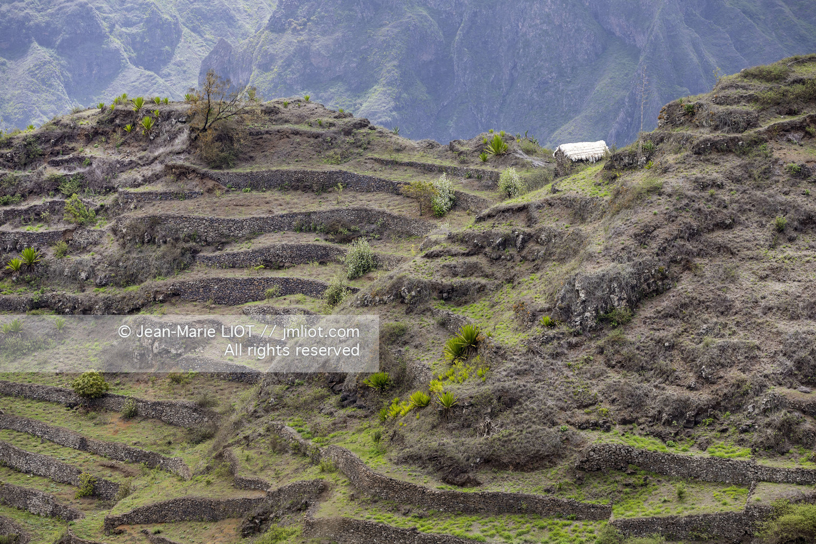CAP VERT - SANTO ANTAO