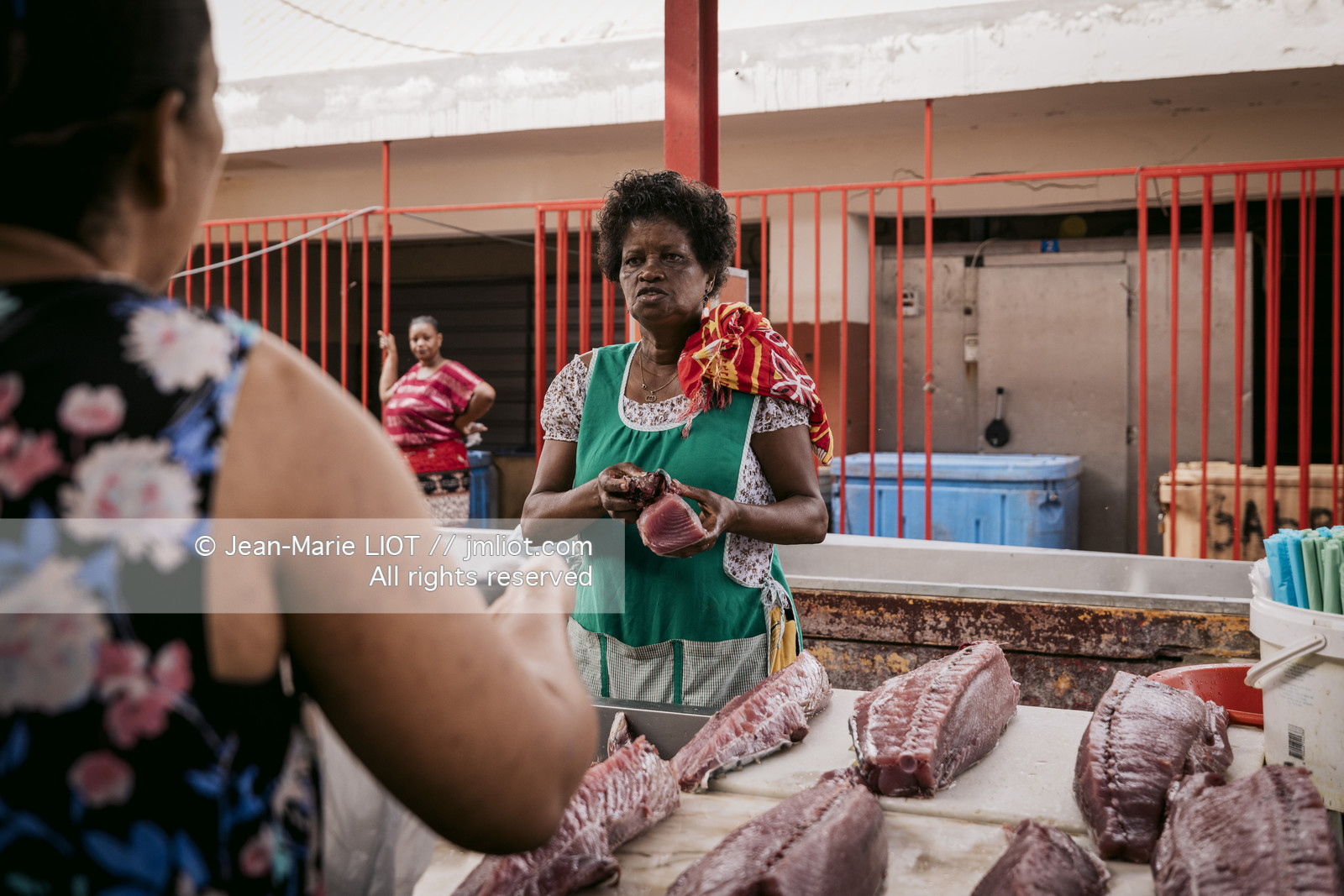 CAP VERT 2022 - ILE DE SAO VINCENTE