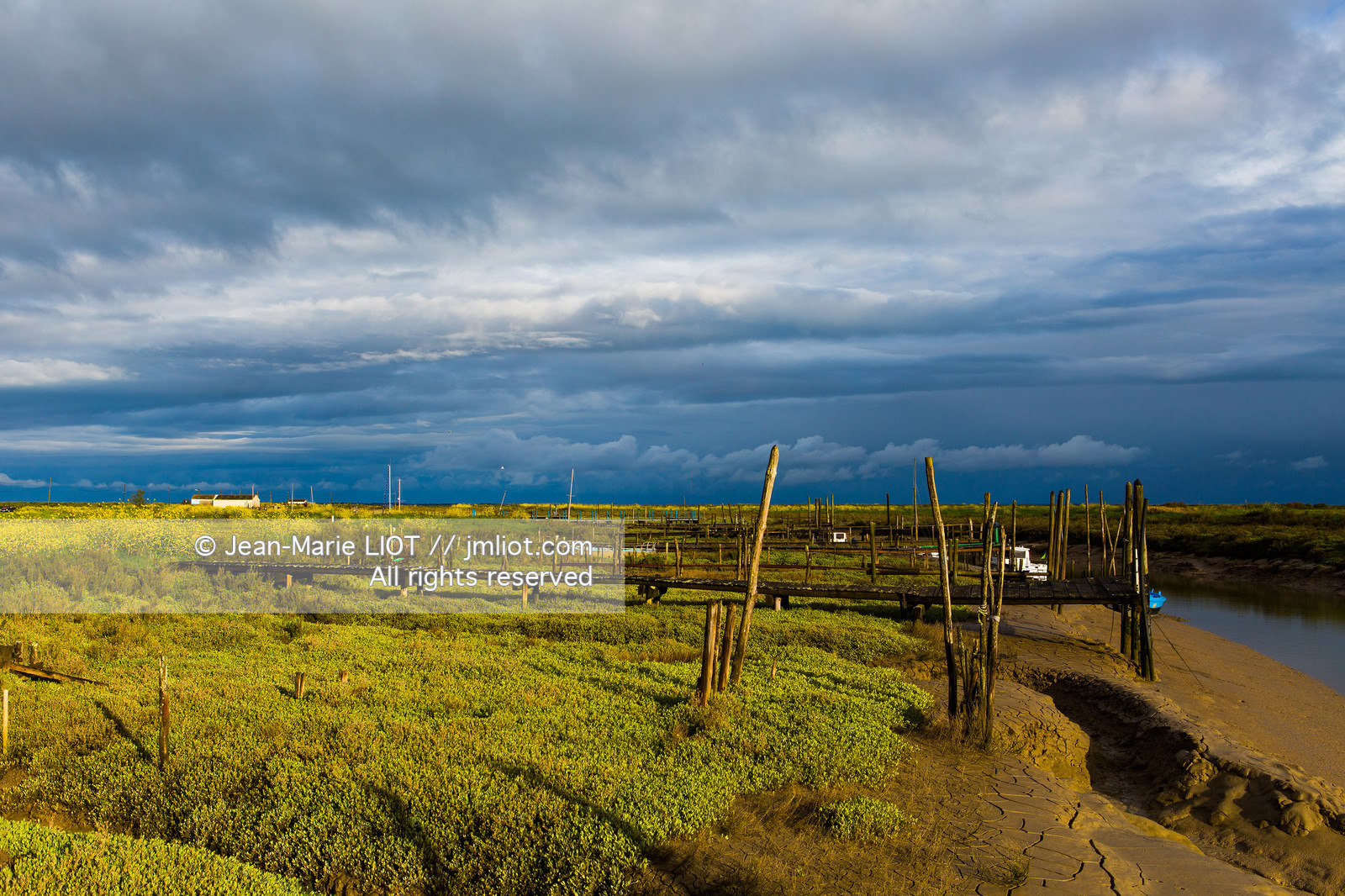 VOILES ET VOILIERS 2016 - LES FORTS DE CHARENTE, BAIE DE LA ROCHELLE EN BIHAN 650