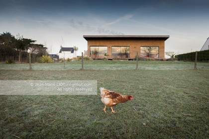 ERIC PERON - WILD LIFE