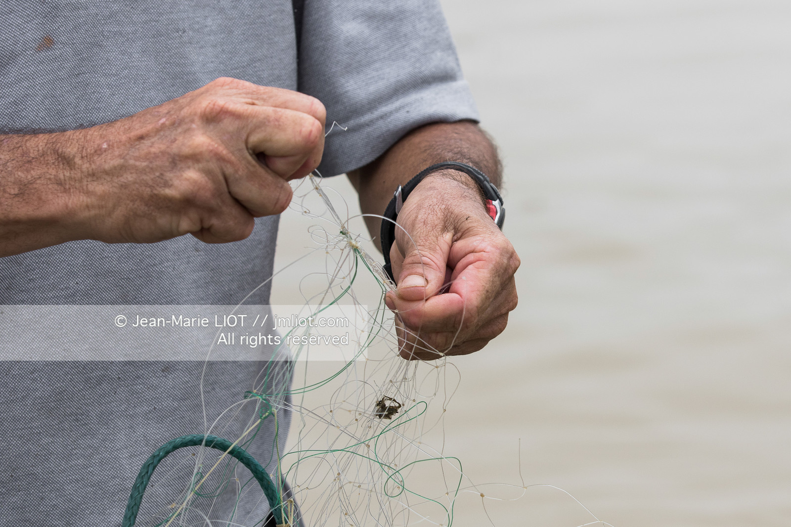 SAILING - TRANSAT JACQUES VABRE 2015 - ILLUSTRATION