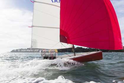 L'ALBATROS - JEAN-MARIE FINOT