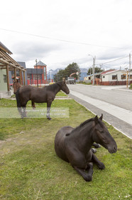 090107VG09081222USHUAIA_38V5500