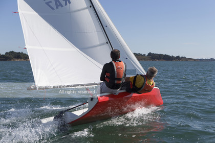 L'ALBATROS - JEAN-MARIE FINOT