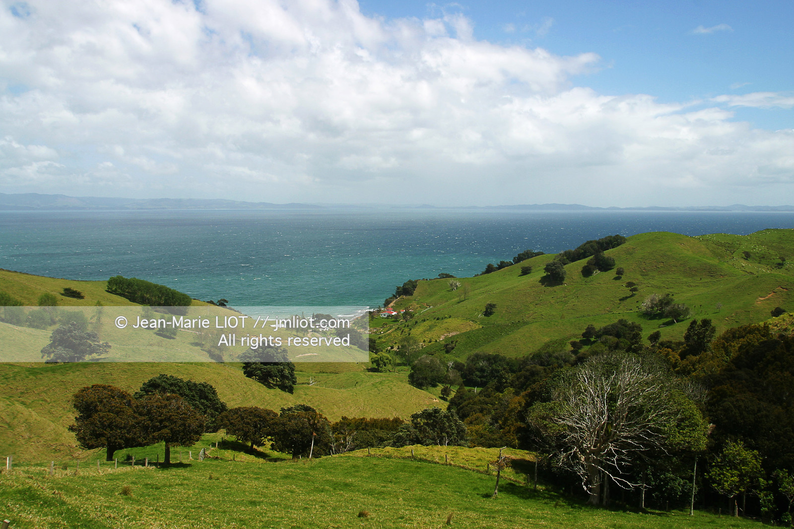 NOUVELLE ZELANDE - COROMANDEL