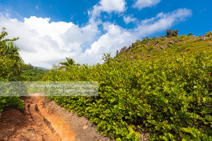 CROISIERE AUX ILES SEYCHELLES