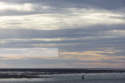 BAIE DE SOMME - 2020