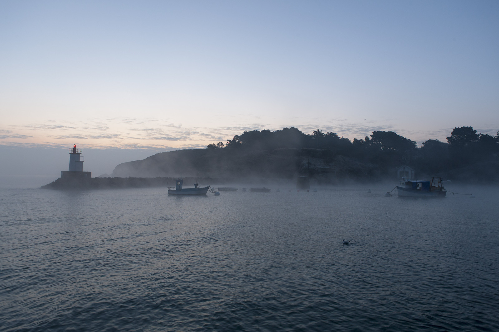 France, Morbihan (56), Belle-Ile, Brume du matin dans le port de Suzon