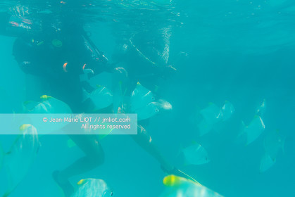 CROISIERE AUX ILES SEYCHELLES