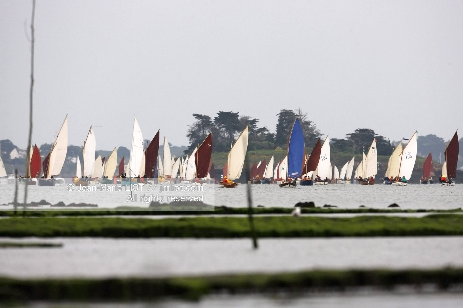 SEMAINE DU GOLFE 2009