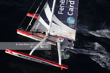 ROUTE DU RHUM 2014 - MULTI 50 FENETREA CARDINAL - ERWAN LE ROUX