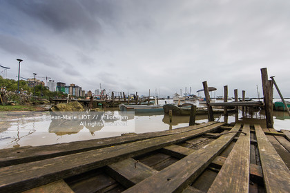 SAILING - TRANSAT JACQUES VABRE 2015 - ILLUSTRATION