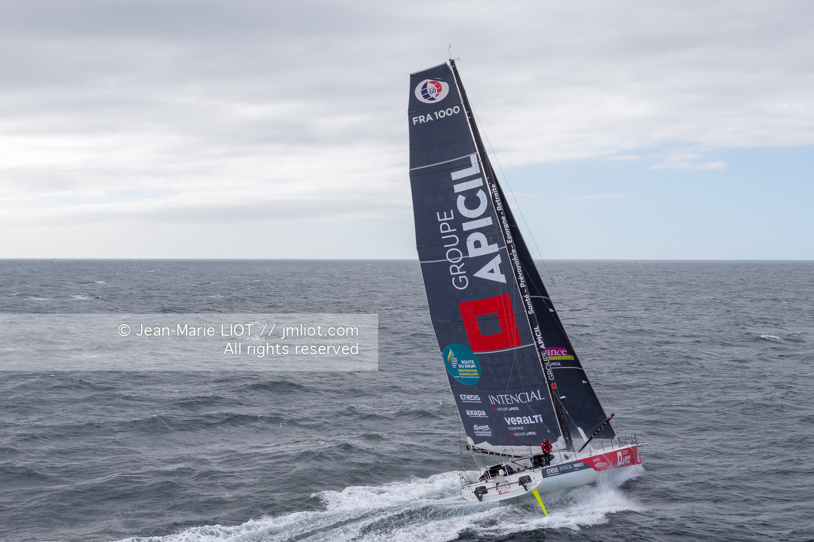 DAMIEN SEGUIN  2018 - GROUPE APICIL