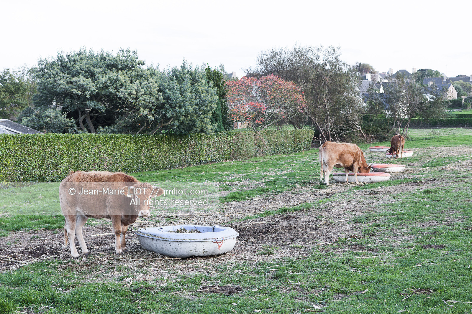 VOILE MAGAZINE 10 09