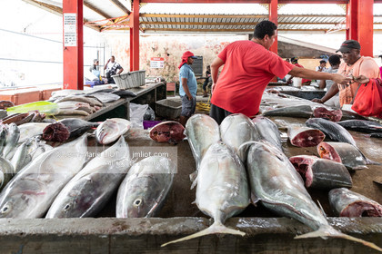 CROISIERE AUX ILES SEYCHELLES