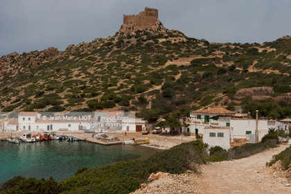 NEPTUNE-PRESTIGE 38S