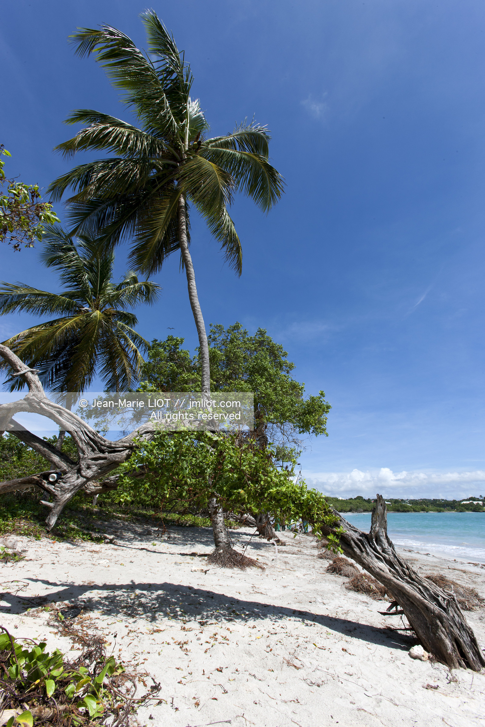 La Guadeloupe est un departement français d'Outre Mer situe dans l'archipel des Antilles. L'ile est bordee d'une part par la Mer des Caraïbes et l'Ocean Atlantique..La guadeloupe est composé de deux îles: la Grande-Terre et la Basse-Terre..Photo © Jean-Marie Liot.