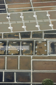 TOUR DE FRANCE A LA VOILE 2006