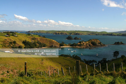 NOUVELLE ZELANDE - AUCKLAND