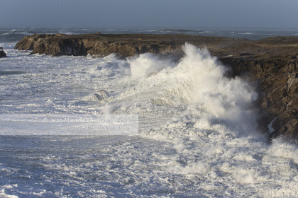 TEMPETE JANVIER 2014