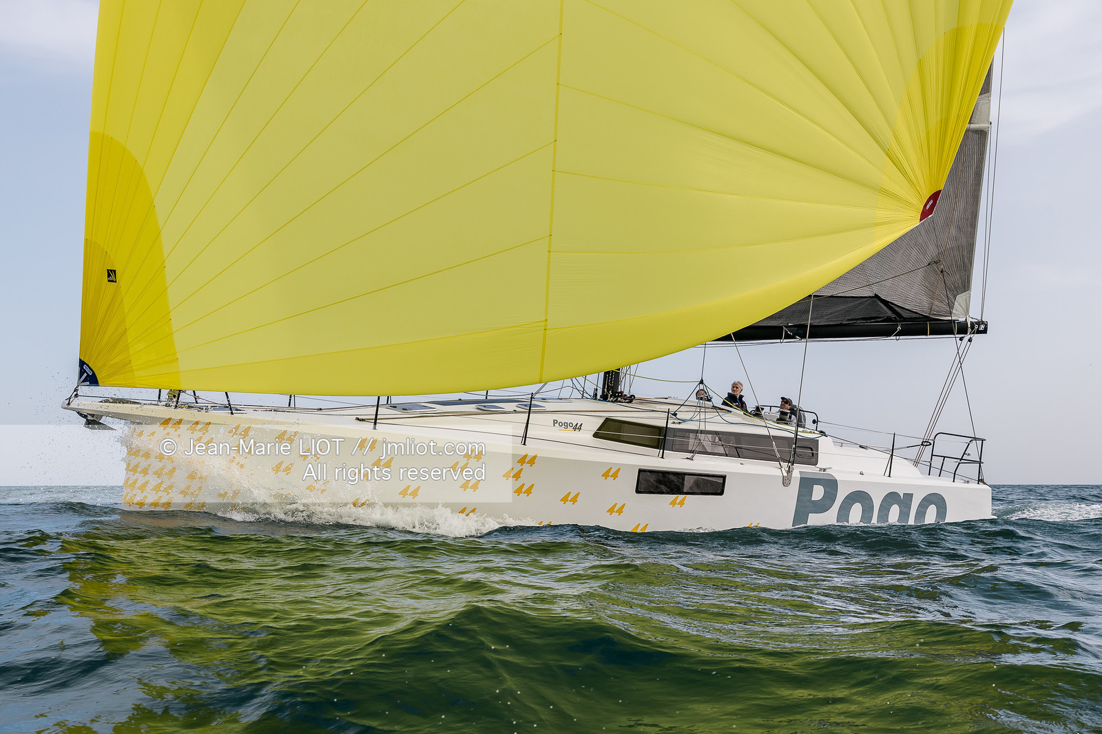 POGO 44