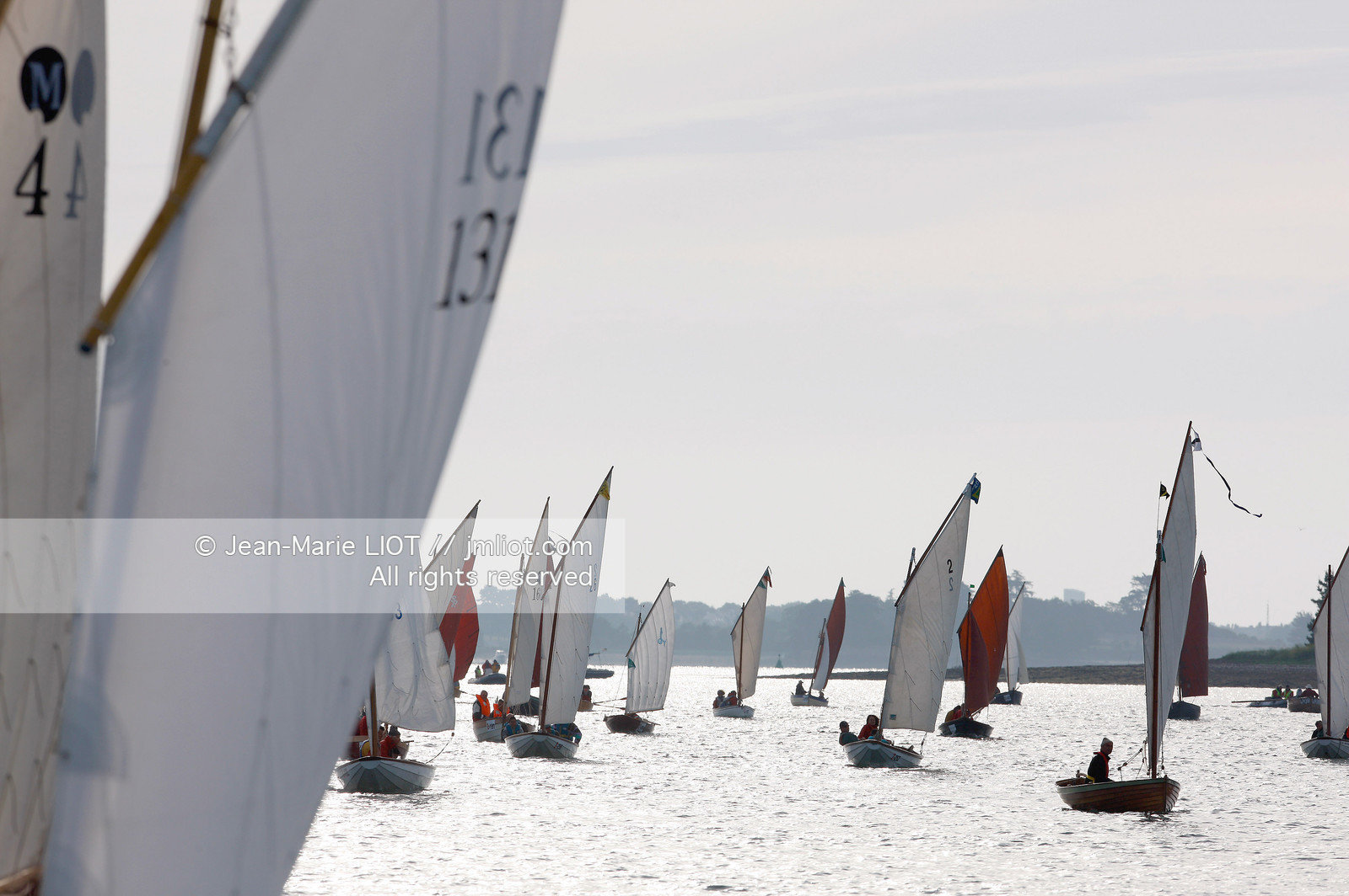 SEMAINE DU GOLFE 2009