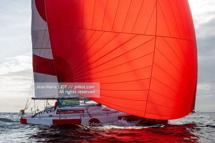 EDENRED 2018 - ROUTE DU RHUM 2018