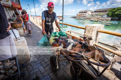 SALVADOR DE BAHIA-FOIRE DE SAO JOAQUIM
