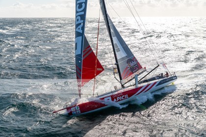 DAMIEN SEGUIN 2020 - IMOCA GROUPE APICIL