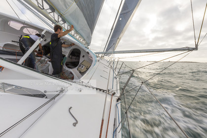 SAILING - TRANSAT JACQUES VABRE 2017 - FENETREA MIX BUFFET - ERWAN LE ROUX - VINCENT RIOU