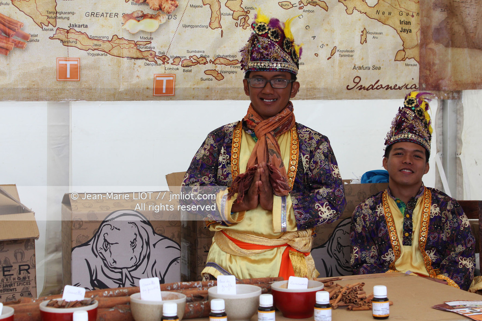 LES TONNERRES DE BREST 2012