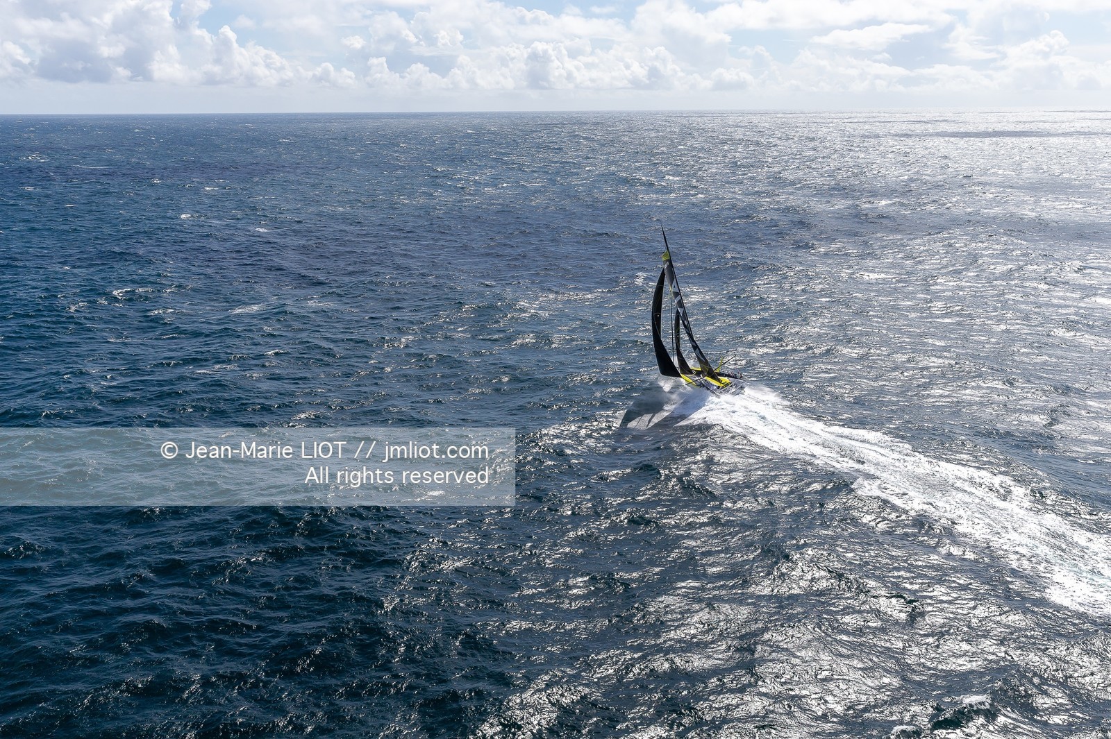 CHARLIE DALIN 2020 - APIVIA