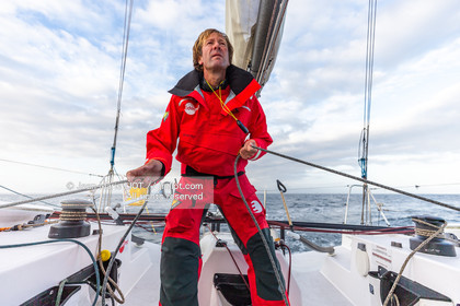 EDENRED 2018 - ROUTE DU RHUM 2018