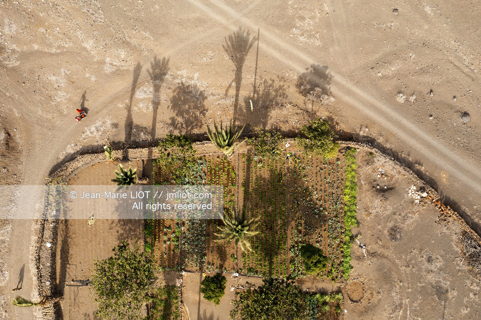 CAP VERT 2022 - ILE DE SAO VINCENTE