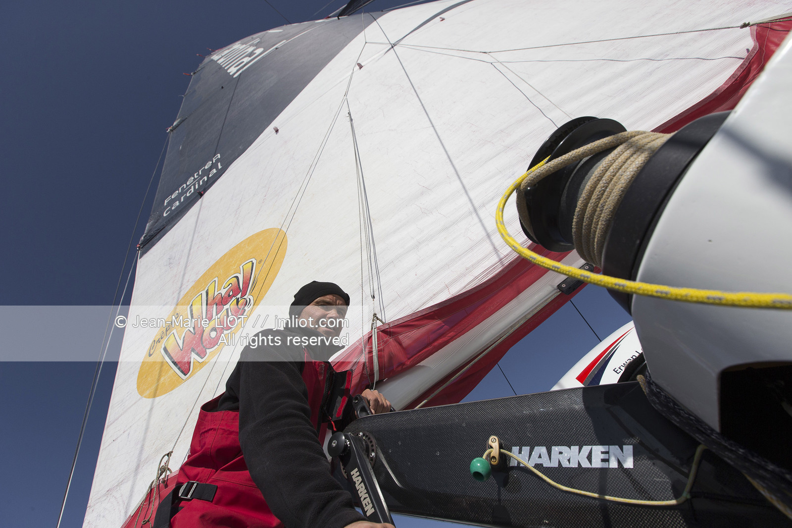 SAILING - ROUTE DU RHUM 2014 - MULTI 50 - FENETREA CARDINAL