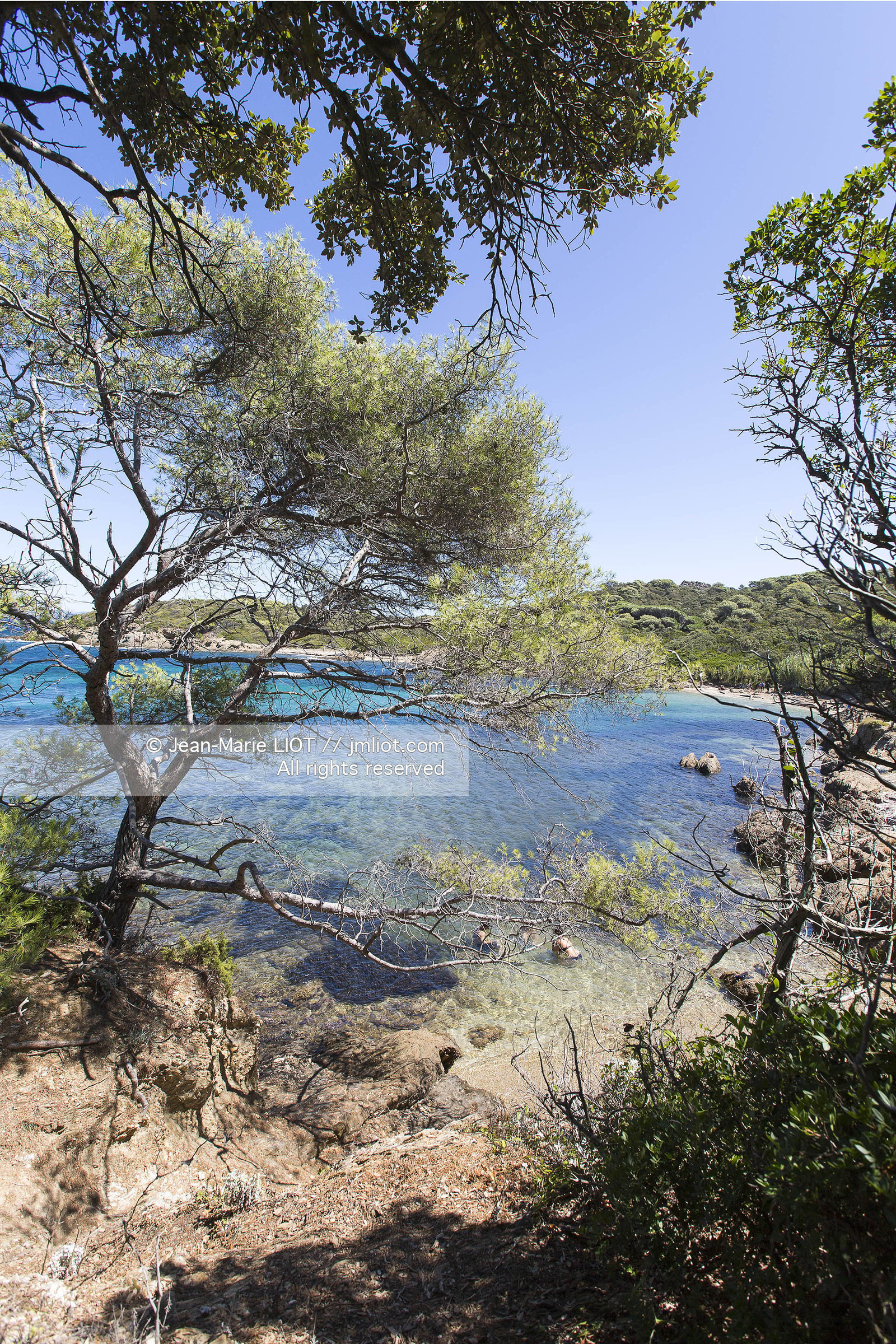 Aout 2015 mouillage à Porquerolles, découverte de l'île..Photos © JEAN-MARIE LIOT - www.jmliot.com
