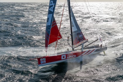 DAMIEN SEGUIN 2020 - IMOCA GROUPE APICIL