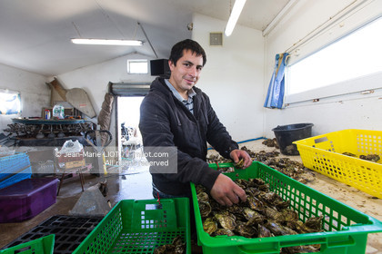 VOILES ET VOILIERS 2016 - LES FORTS DE CHARENTE, BAIE DE LA ROCHELLE EN BIHAN 650