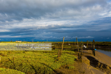 VOILES ET VOILIERS 2016 - LES FORTS DE CHARENTE, BAIE DE LA ROCHELLE EN BIHAN 650