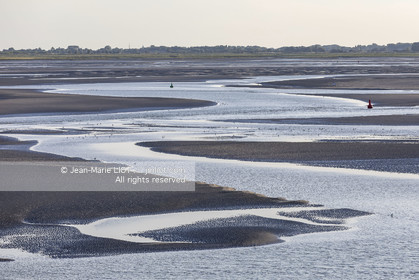 BAIE DE SOMME - 2020