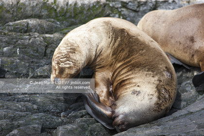 Ushuaia, Terre de Feu est la ville la plus australe du globe.Située à la pointe de l'Argentine cette province est la porte de l'antartique.photo © Jean-Marie Liot.
