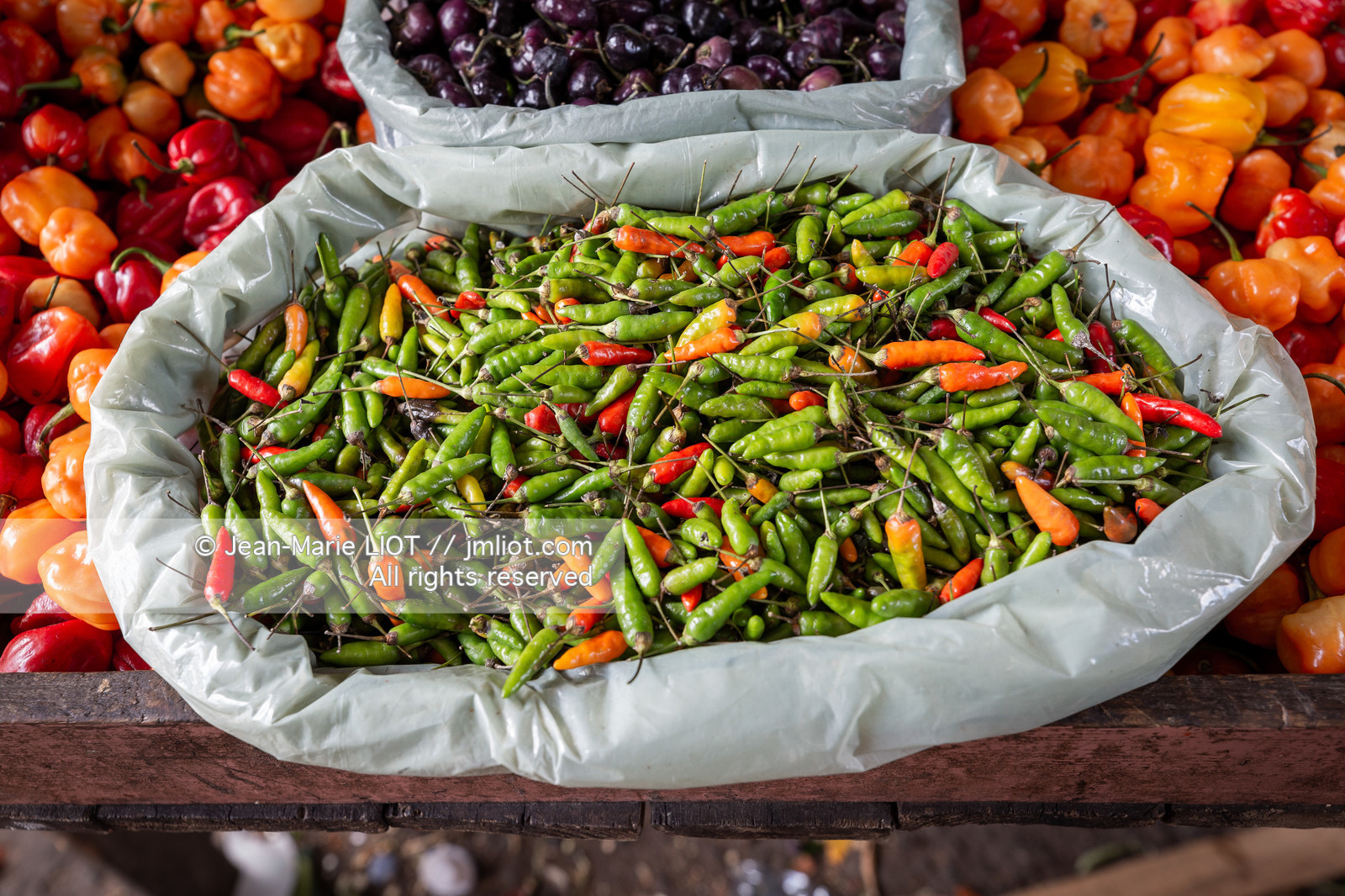 SALVADOR DE BAHIA-FOIRE DE SAO JOAQUIM